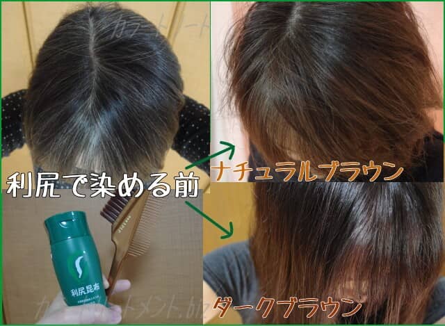 白 フリル付 利尻 カラーシャンプー ヘアカラートリートメント ダーク